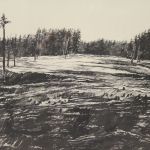 735 8099 LITOGRAPH